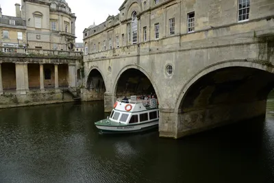 DSC_2562 (Large).JPG